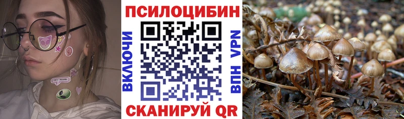даркнет официальный сайт  Емва  Галлюциногенные грибы ЛСД 