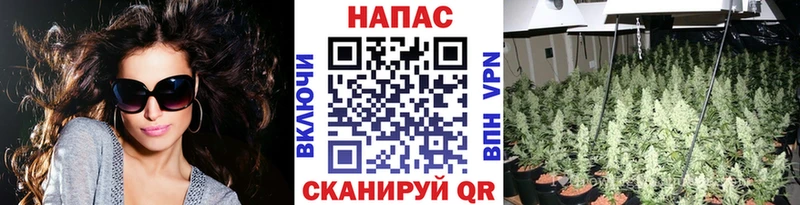 Конопля Ganja Емва